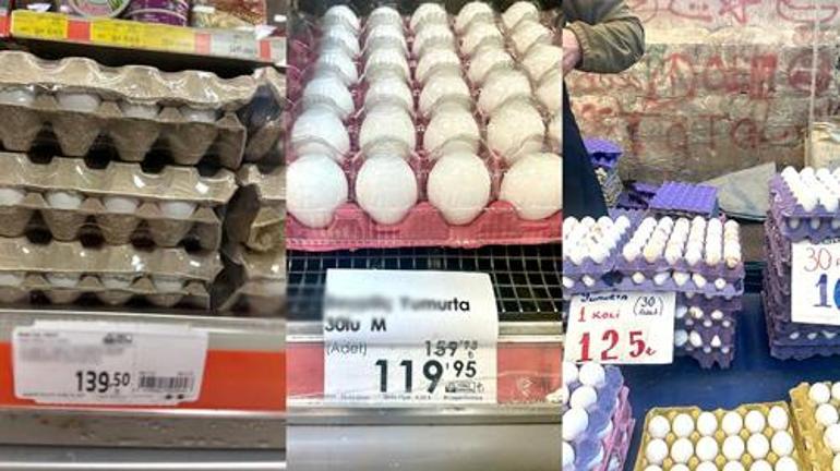 Yumurta Fiyatları