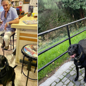 bedri baykamin aci gunu XXEJ8QYD