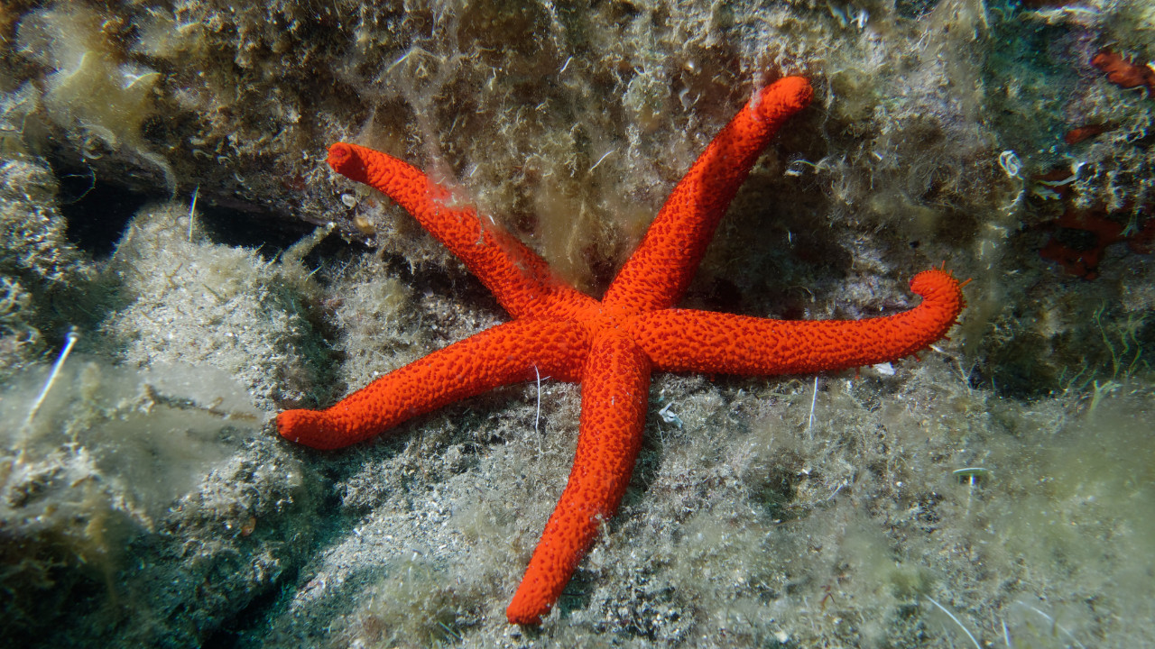 10 yildir devam eden gizemli olumlerin sirri nihayet cozuldu lAUs5abY