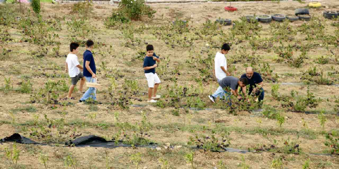 3 yil once yetistirmeye basladi mide rahatsizligina care oldu tcaZlE8B