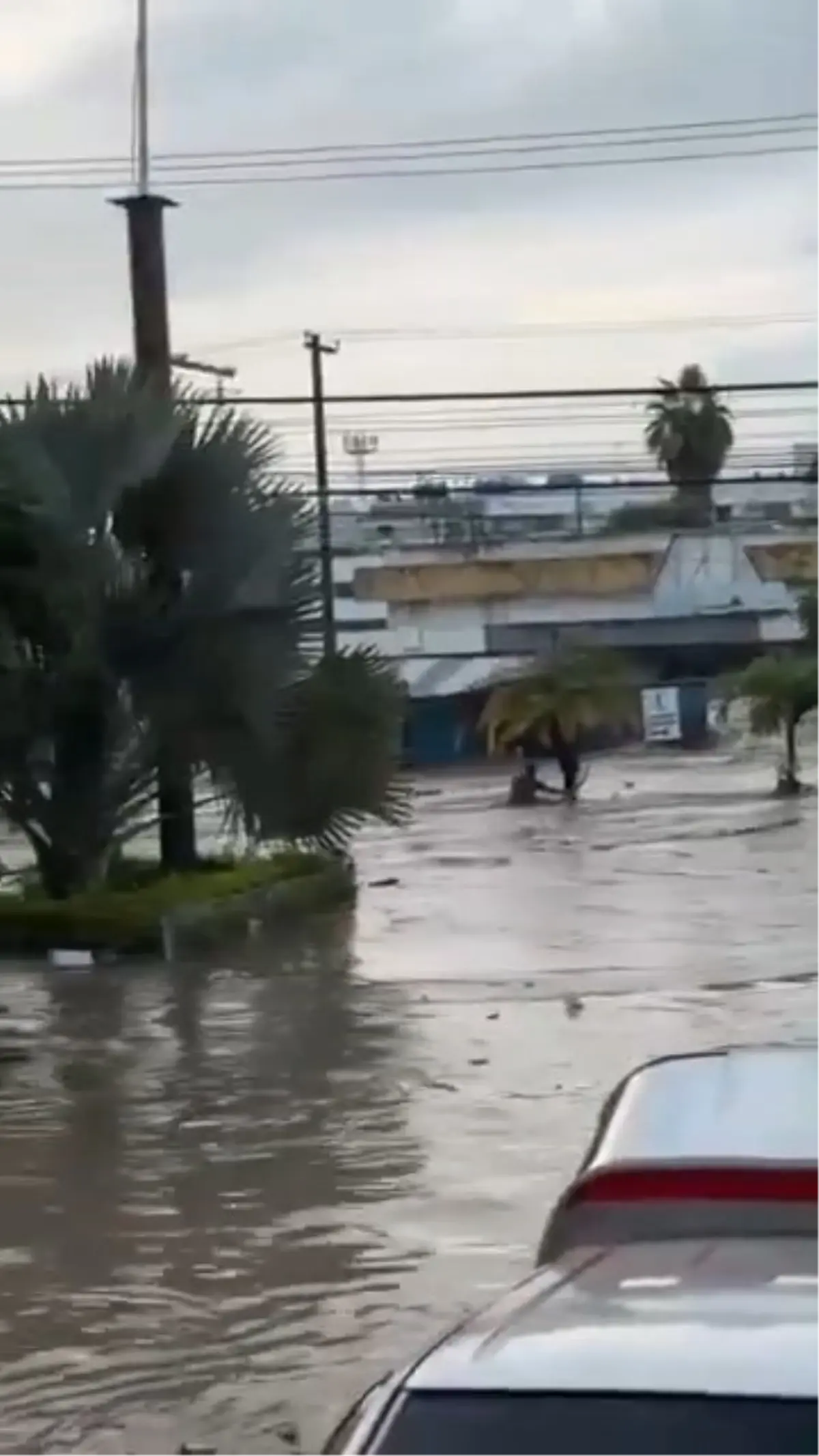 meksikada siddetli yagislar sele neden oldu 41 olu ugVW5SNP.jpg