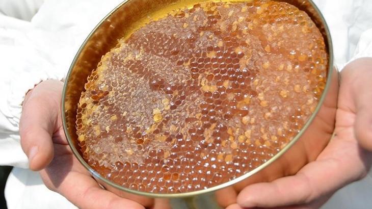 turk balinda 234 milyon dolarlik ihracat gerceklestirildi cUpKJmRW.jpg