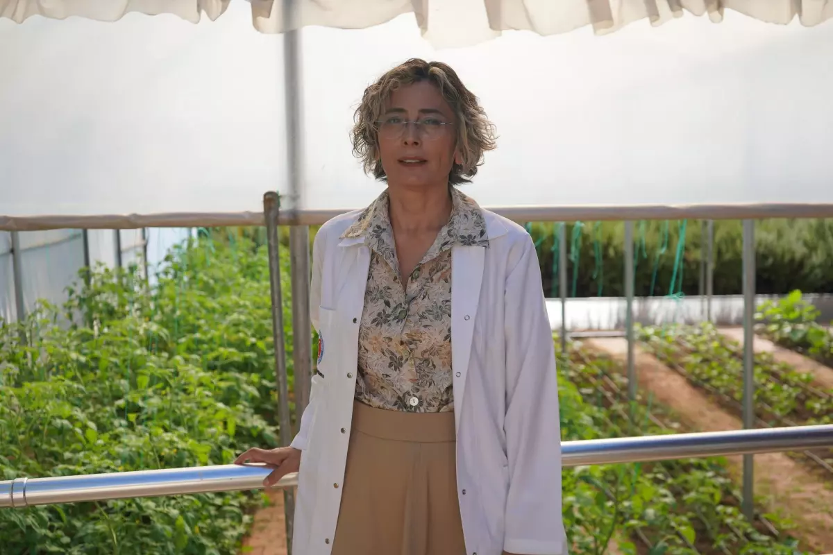 akdeniz universitesinde psikiyatri gunduz hastanesinde rehabilitasyon projesi IJ5beVjp.jpg