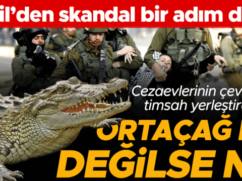 Filistinli mahkumlara akilalmaz ceza israilde yeni gardiyan timsahlar dJ46iYMw